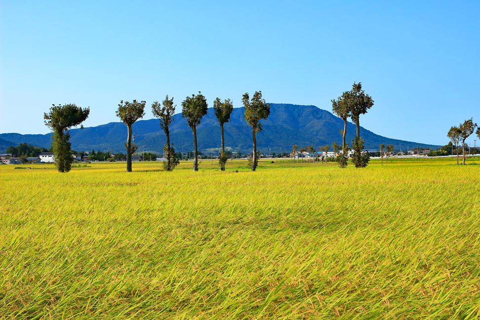 角田山