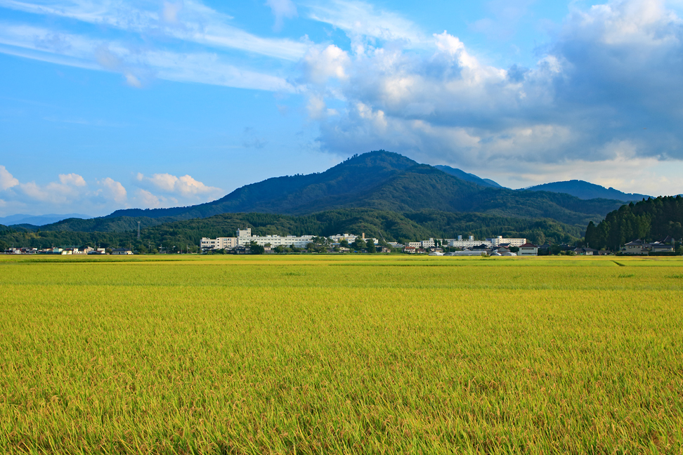 金峯山