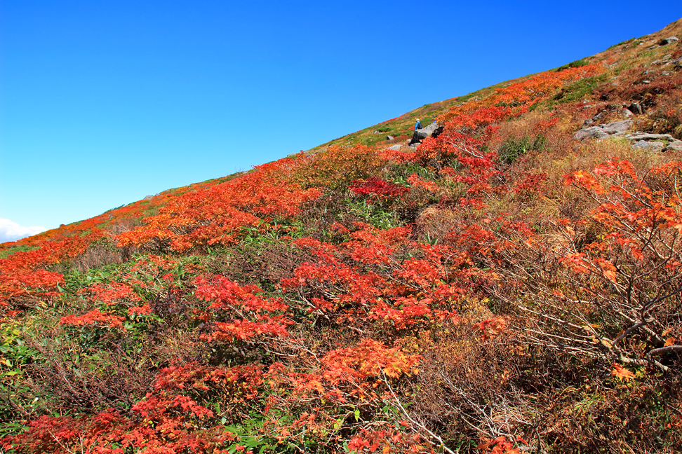 月山