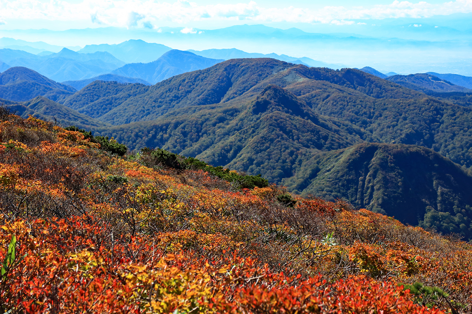 御所山
