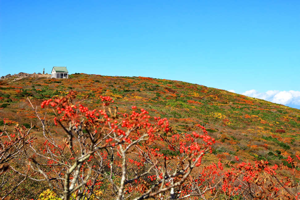 御所山