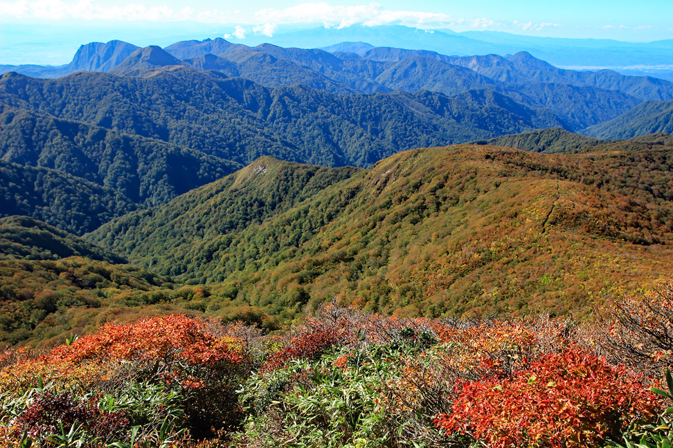 御所山