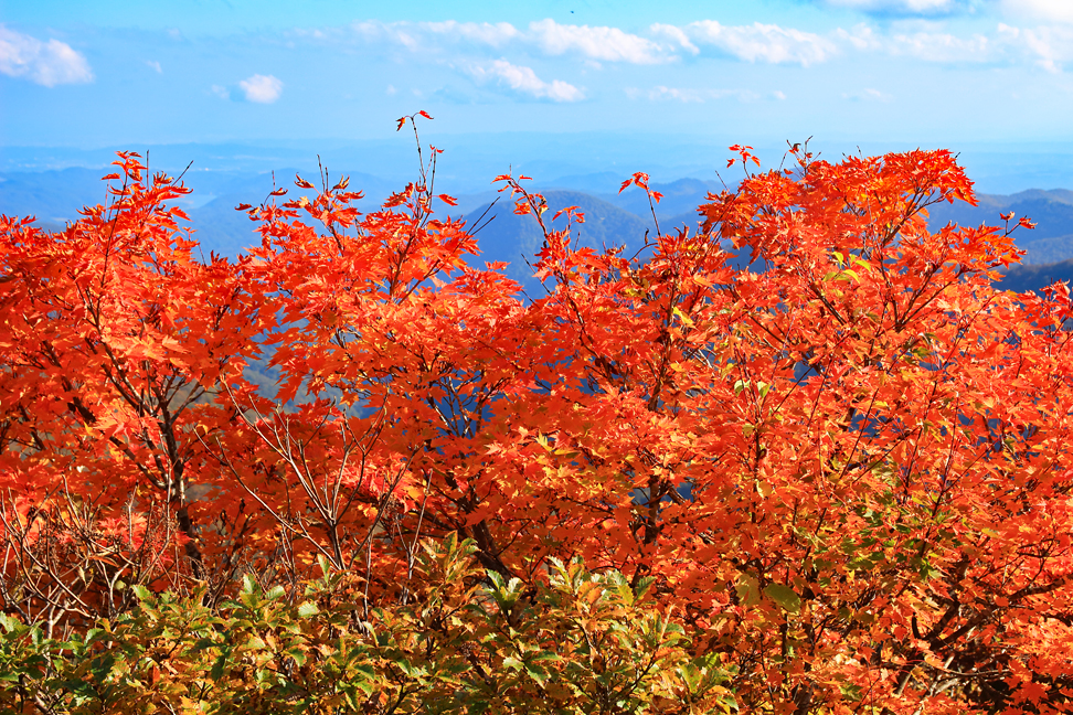白髪山