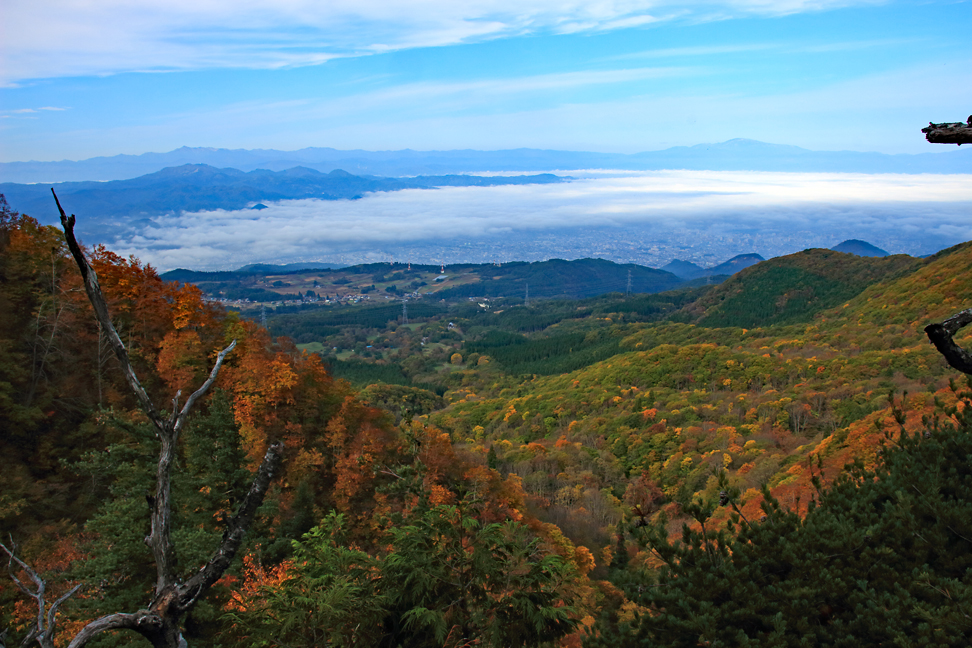 瀧山