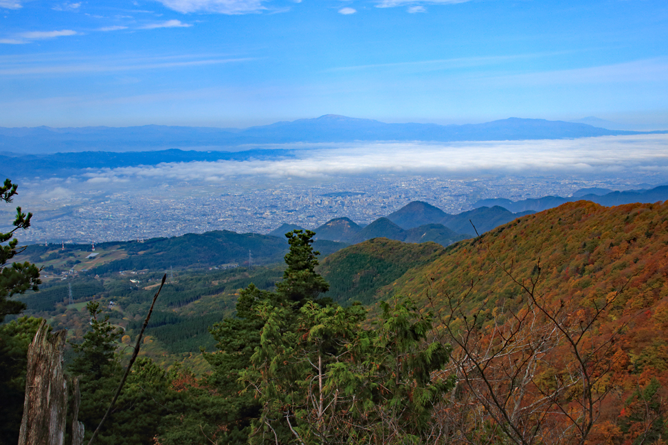 瀧山