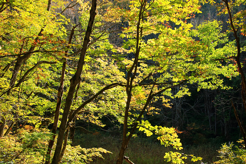 高畠駒ヶ岳