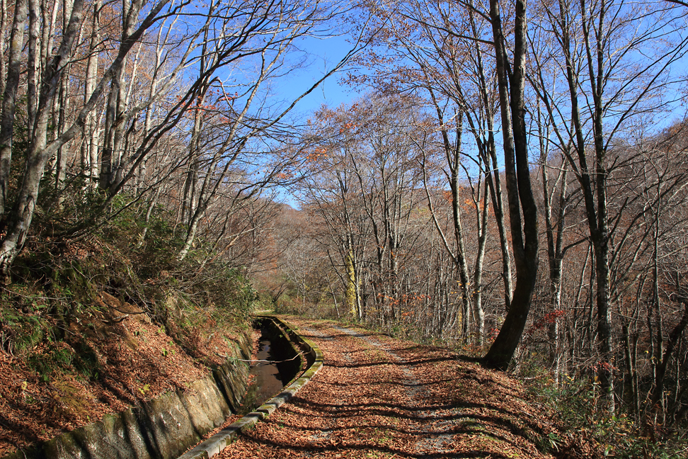 横川堰