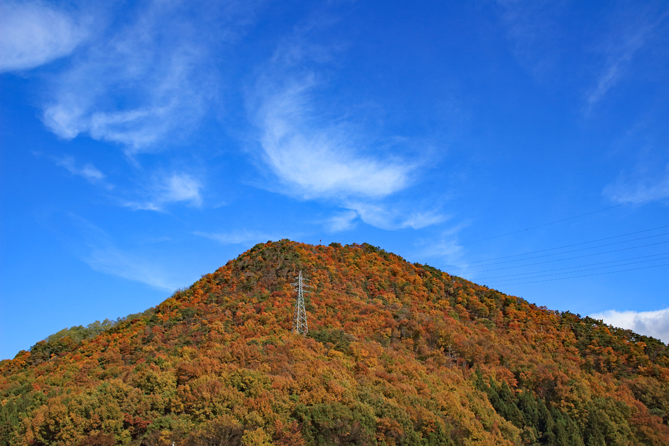 大森山