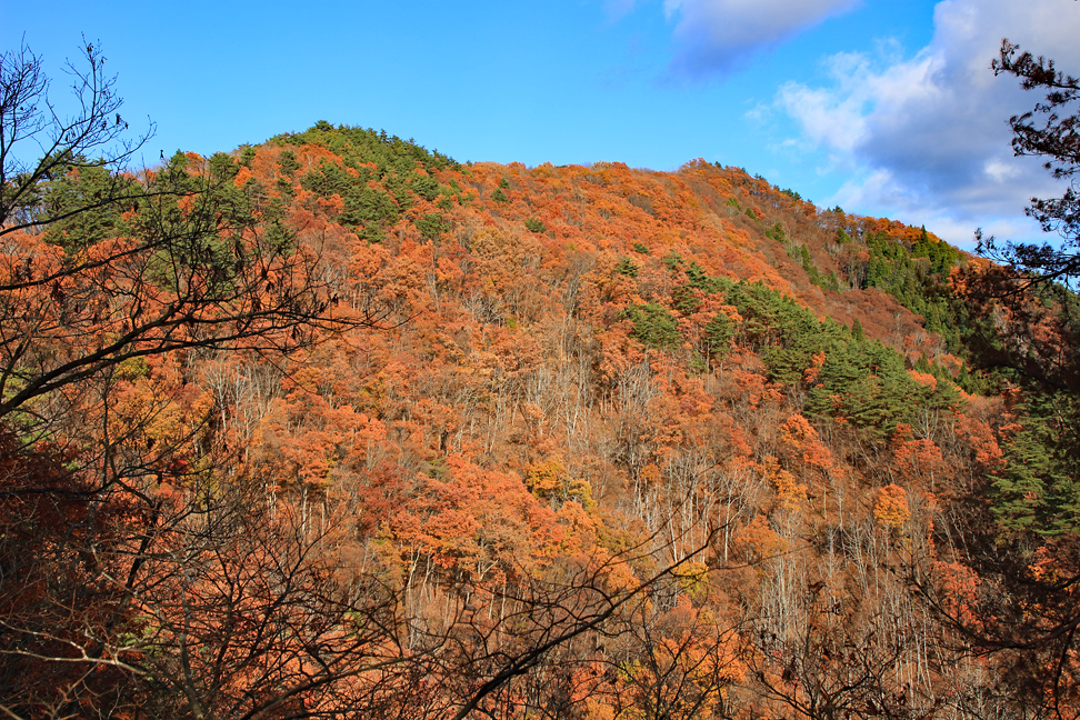 炭沢山