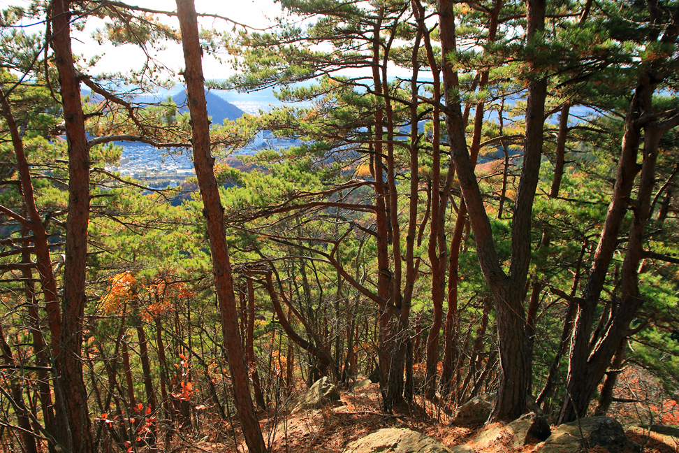 炭沢山