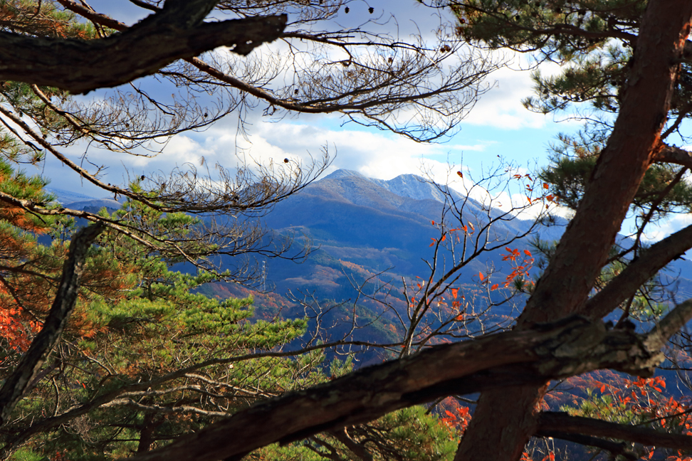 炭沢山